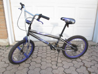 Bent brand Madcat Freestyle "20 BMX bike, Ready to ride!