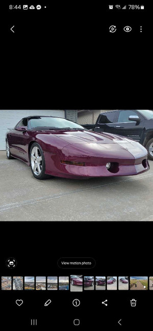 1995 Pontiac Firebird Firebird 