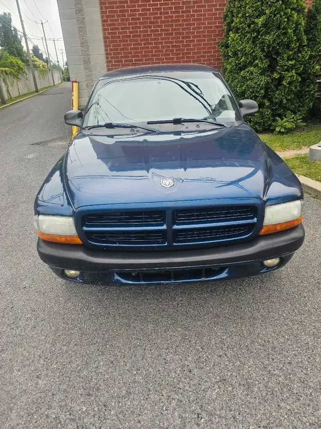 Dodge Dakota 2003 178300km62938483398657121