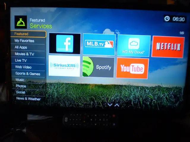 WD TV Live PLUS, Streaming Media PlayerS in Video & TV Accessories in City of Toronto - Image 6