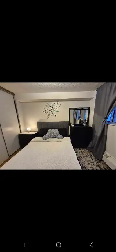 Available June 1 Looking for a female roommate, preferably a student or a young professional. Freshl...