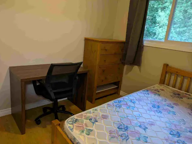 Rooms for rent to students in Waterloo in Room Rentals & Roommates in Kitchener / Waterloo - Image 9
