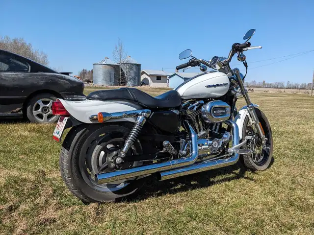 2006 Harley Davidson 1200 Sportster in Street, Cruisers & Choppers in St. Albert - Image 4