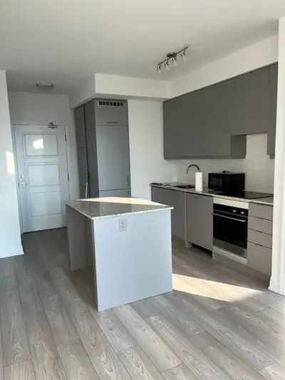 1 bedroom with washroom in new condo for rent
