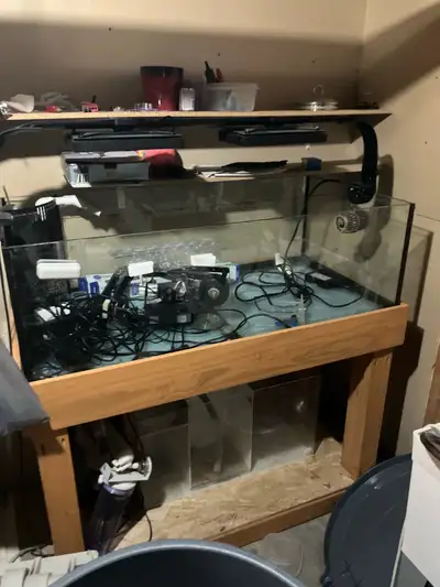 I'm selling my used aquarium with stand only. it is fully functional and ready to be set up. Used as...