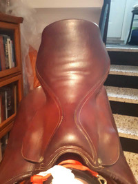 brown saddle