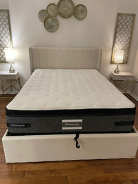 Brand New Upholstered Queen Size Beds | Velvet King Bedframes |
