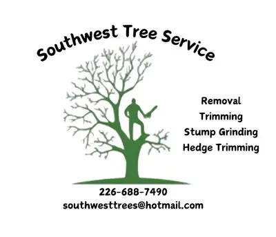 Tree Removal and Stump grinding, View more