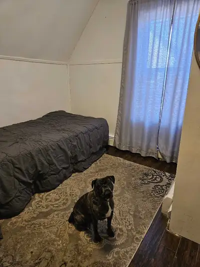 Move-In Ready. Your rent covers all major utilities—including heat and lights—plus high-speed intern...