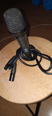 Professional microphone (Female XLR cable included)