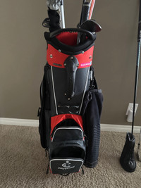 Golf bag - cart bag