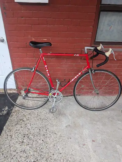 Vintage Miele Lupa Road Bike – XL, View more