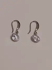 Hook Earrings with Jewel