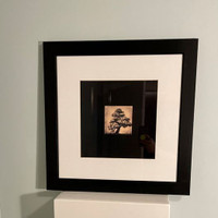 Beautifully Framed Bonsai Sacred Tree Print  Banff Springs Hotel