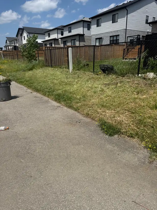 landscape Services,grass cutting in Lawn, Tree Maintenance & Eavestrough in London - Image 8