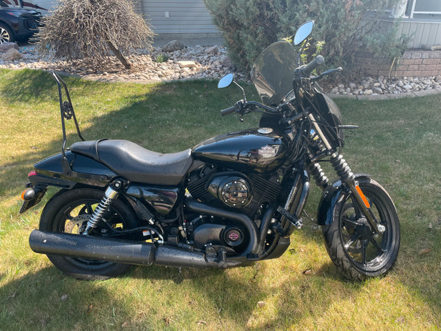 Harley XG500 Street Motorbike in Street, Cruisers & Choppers in Strathcona County - Image 3
