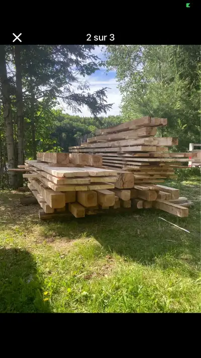 Cèdre et sapin à vendre, View more