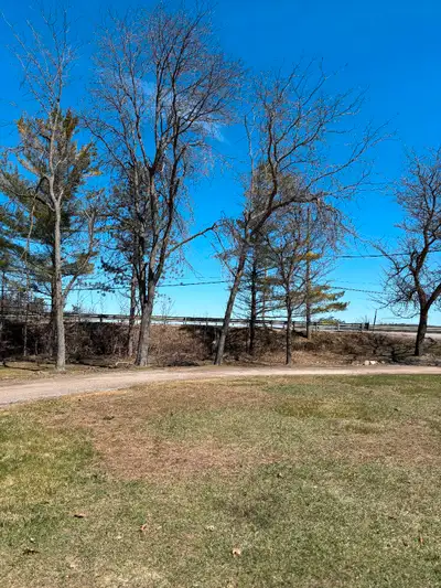 Beautiful newly renovated 2bedroom for rent in. tweed