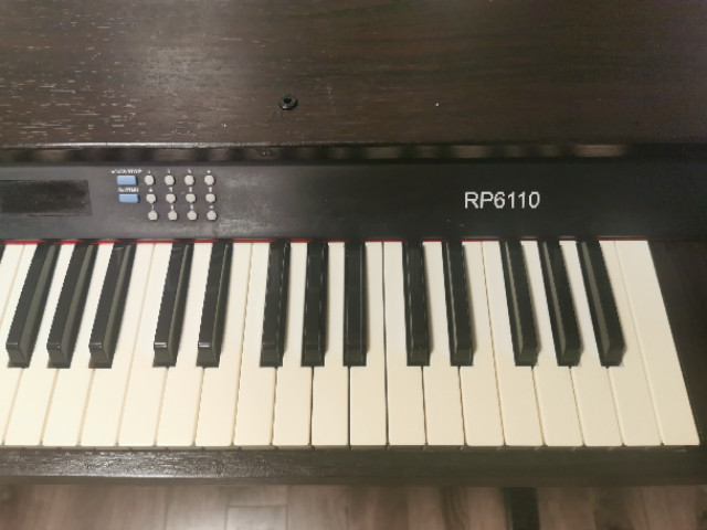 Robson RP6100 Digital Piano 61 Key for beginner in General Electronics in London - Image 4