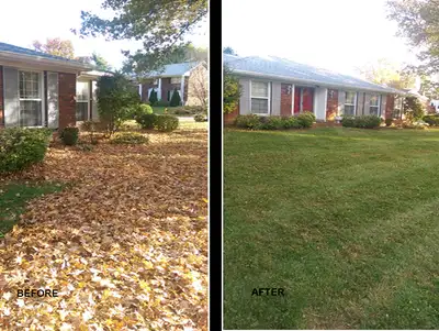 Yard Cleanup & Leaf Removal – Fast, Affordable & Reliable, View more