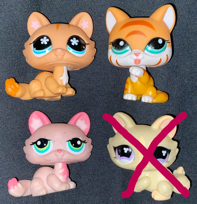 Price is for all 3 cats…pickup Niagara Falls…shipping available