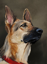 Custom Pet oil portrait from Photo