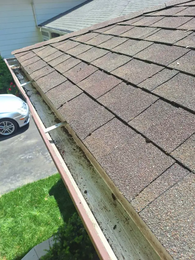 gutter cleaning65403973542529123