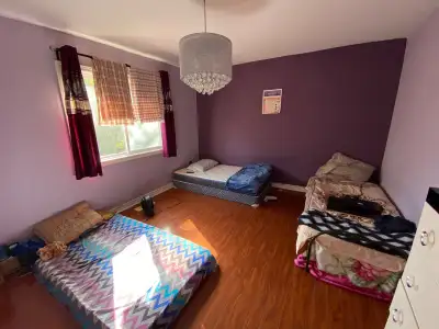 Accomodation Available in Etobicoke