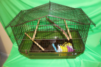 Bird cage and accessories