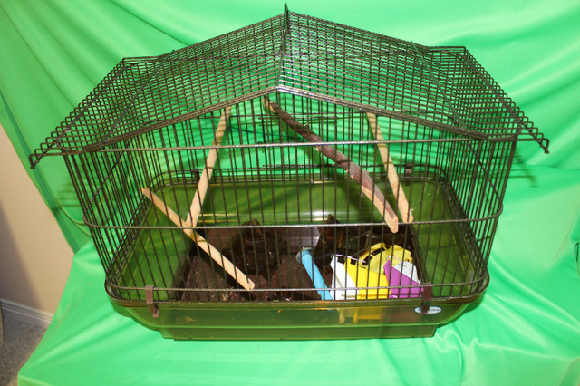 Bird cage and accessories in Accessories in London