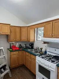 Kitchen Cabinets With Counter Top and Sink