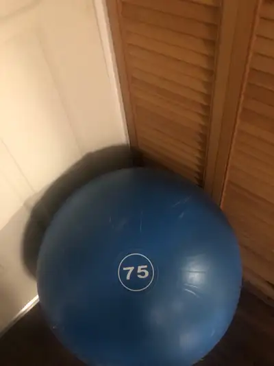 Adidas exercise ball.         , View more