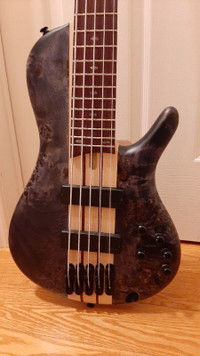 Ibanez SRSC 805 Bass Guitar 5 Strings