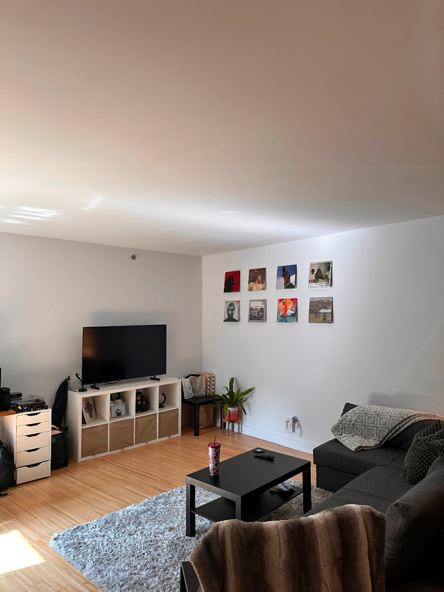 Large 1-Bedroom, 1.5-Bath in (3 1/2) Apartment dans Locations longue durée  à Ville de Montréal - Image 2