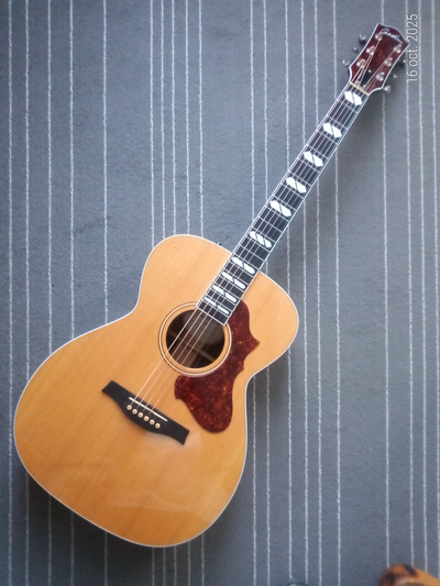 Beautiful Godin Fairmount CH LTD Rosewood HG EQ like new, View more