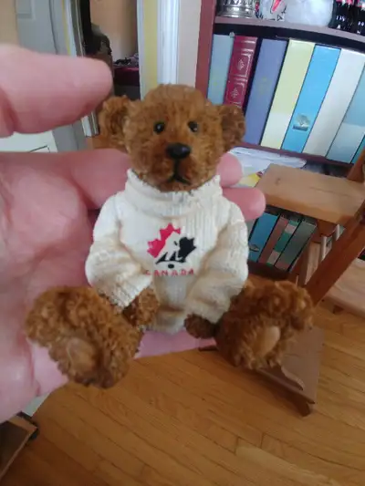 Team Canada Powerplay Teddie For Sale., View more
