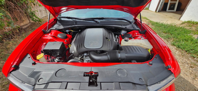 2014 charger rt in Cars & Trucks in Medicine Hat - Image 4