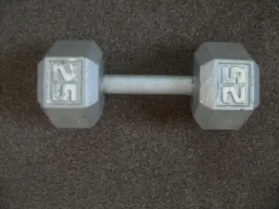 Good condition 25 lb barbell. See more exercise items on my other ads.