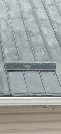Metal Roof snow guards