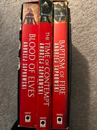 The Witcher book series