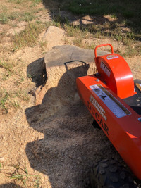 Stump Grinding Service Available