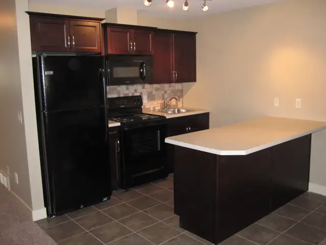 Wifi/Util Included! 2 Bdrm Bsmnt Suite Avail. Aug 1st in Long Term Rentals in Kelowna - Image 3
