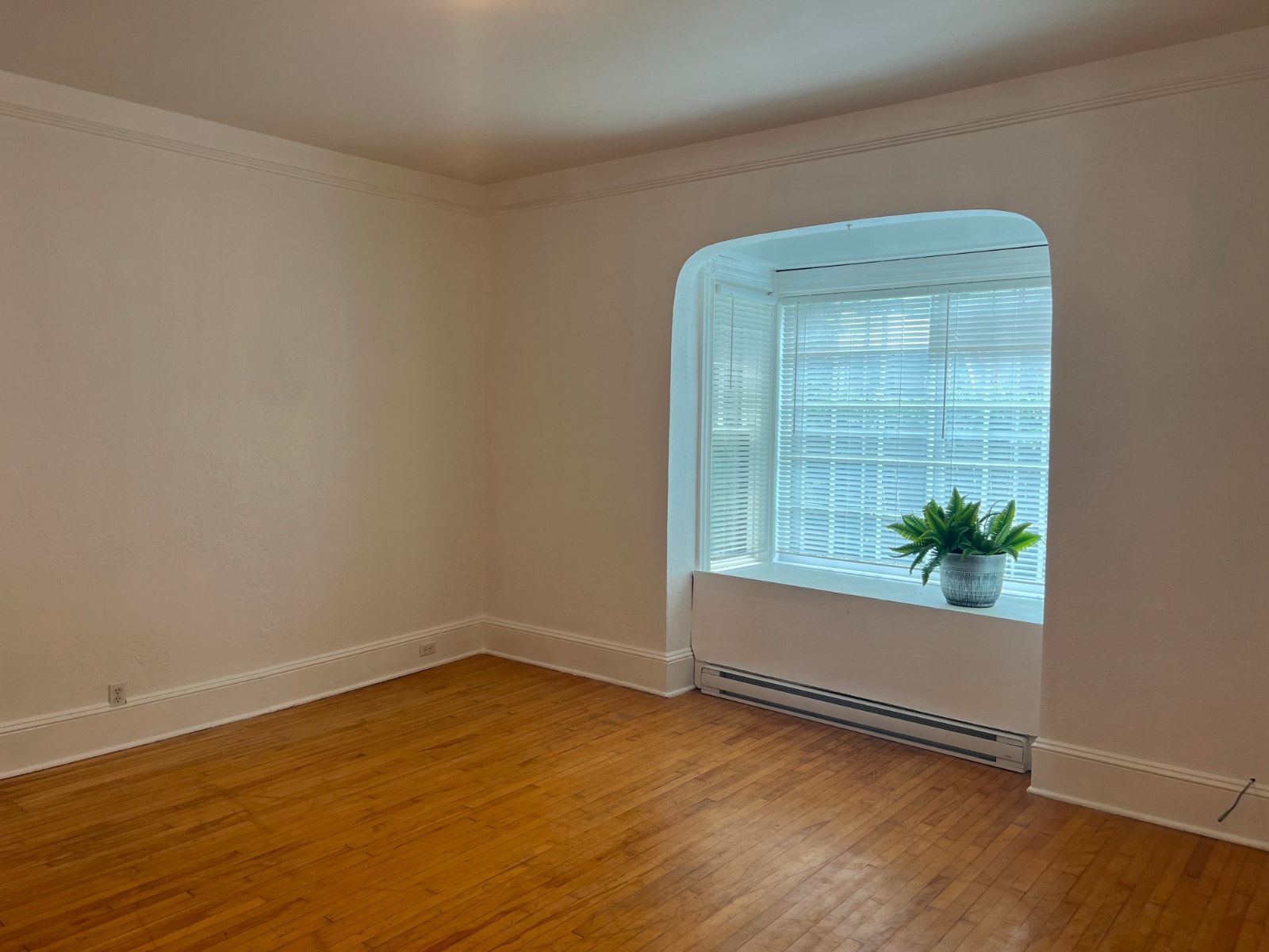 GRAND 4 1/2 À LOUER SHERBROOKE — photo 1