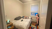 Sandy Hill- uOttawa bedroom for rent (sublease)