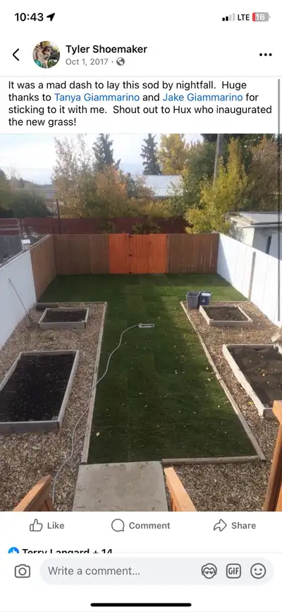 WEED SPOT SPRAYING – AFFORDABLE & EFFECTIVE , View more