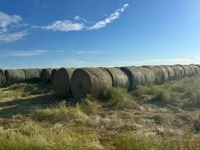 Hay for sale, View more