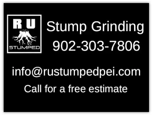 R U Stumped PEI - Stump removal in Lawn, Tree Maintenance & Eavestrough in Summerside - Image 2