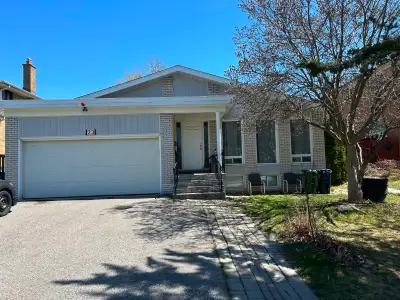 Very Spacious! Quite Bright! Unique Location! Close To All Amenities! University, School, TTC, Subwa...