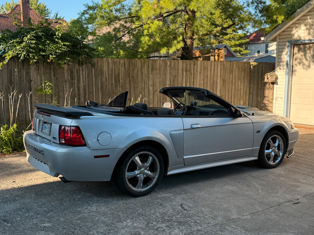 2001 Mustang GT Convertible in Cars & Trucks in Sarnia - Image 2