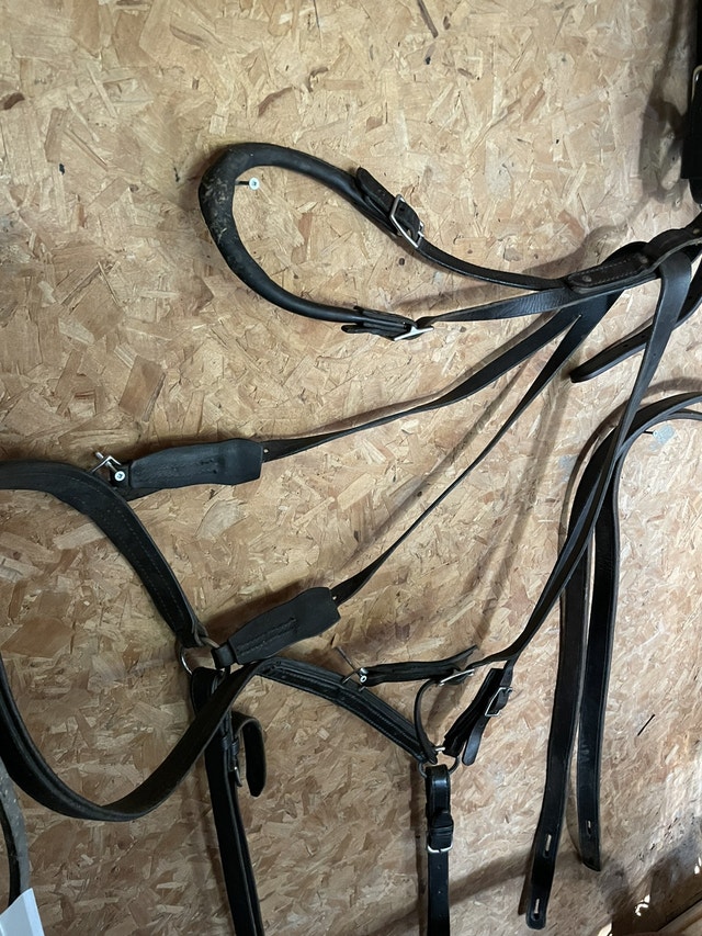 Horse harness/ bridle, back pads, breast collar, tugs Horses & Ponies